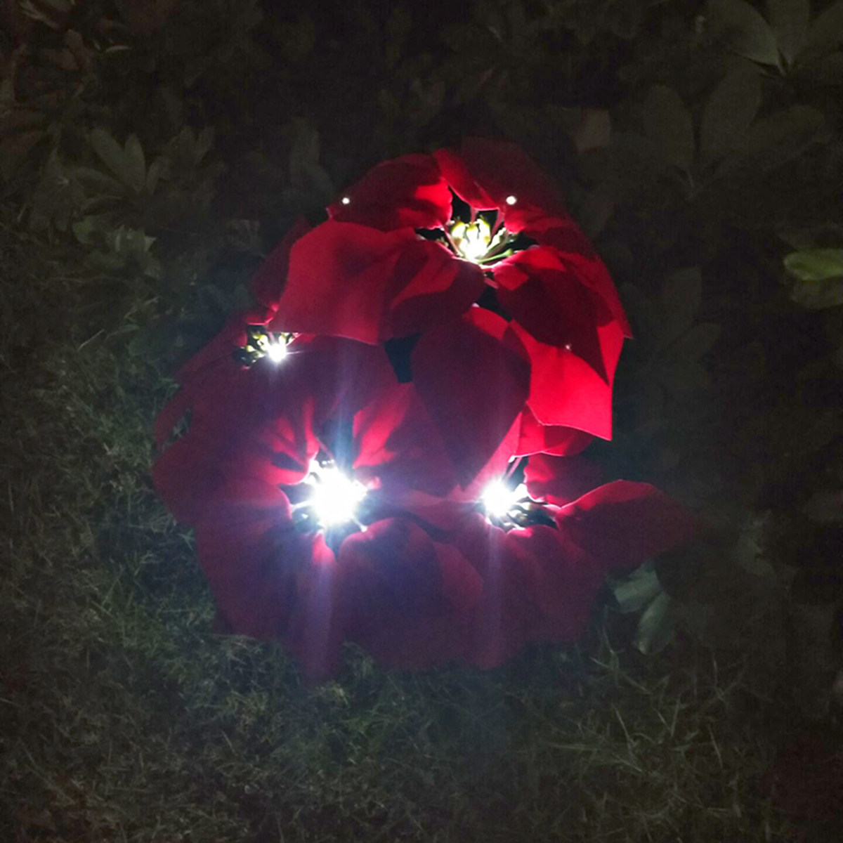 Solar Powered Fake Flower Ligh - Outdoor Yard Power Stake บทวิจารณ์และราคา